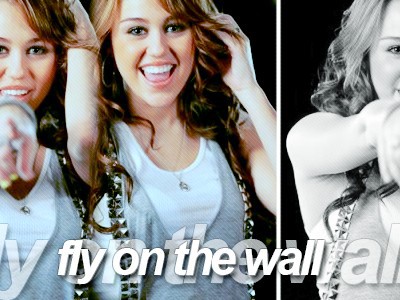Hannah Montana/Miley Cyrus